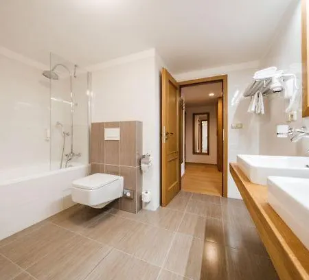 U černého Medvěda Hotel 3*