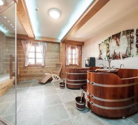 Hotel U černého Medvěda 3*